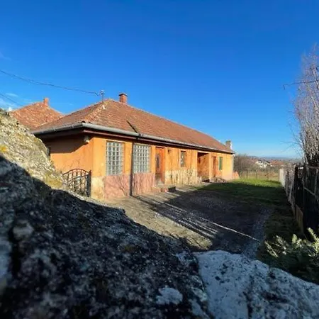 Greenpark Candy Apartments With Large Garden Close To Tokaj Bekecs Exterior photo