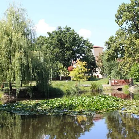 Greenpark Candy Apartments With Large Garden Close To Tokaj Bekecs Exterior photo