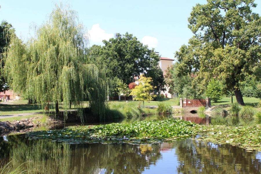 Apartment Greenpark Candy With Large Garden Close To Tokaj Bekecs